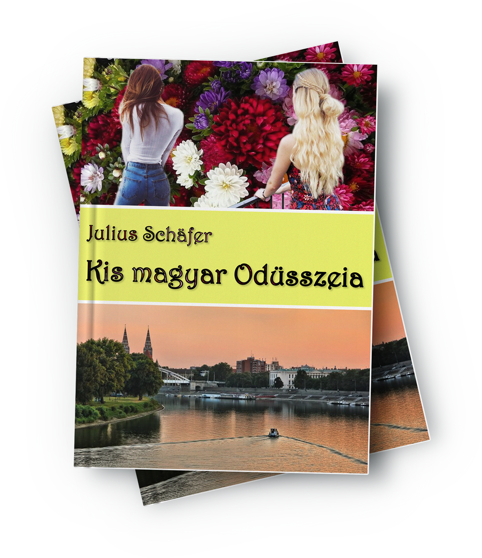 Kis magyar Odüsszeia - a könyv